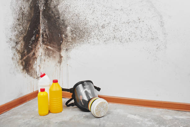 Certified Mold Removal in Shorewood Forest, IN