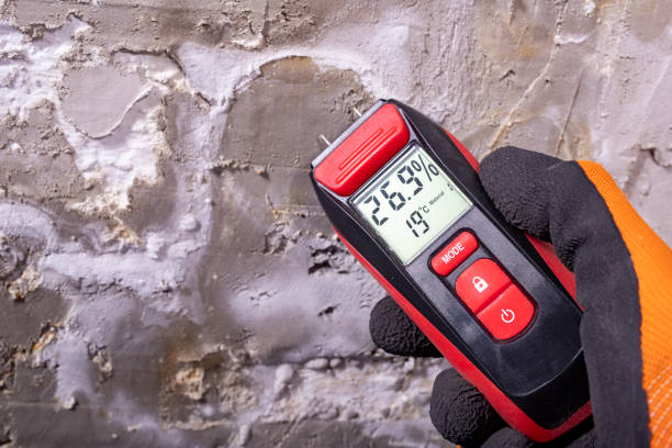 Best Toxic Mold Removal  in Shorewood Forest, IN