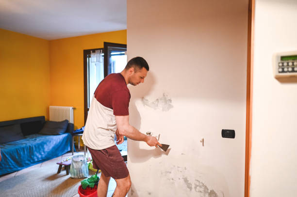 Attic Mold Removal in Shorewood Forest, IN